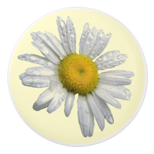 Weißes Gänseblümchen-Keramik-Griff Keramikknauf