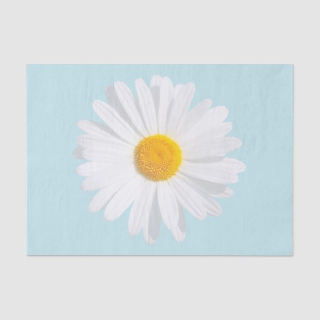 weißes Gänseblümchen Seidenpapier (Vorderseite)