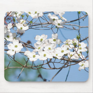 Weißes Hartriegel-Blumen mousepad