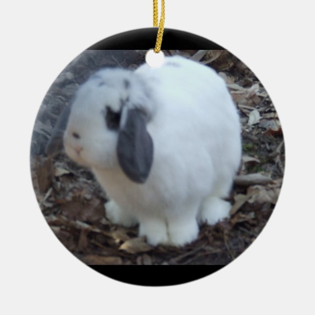 Weißes Häschen fröhliche Ostern Keramikornament (Vorne)