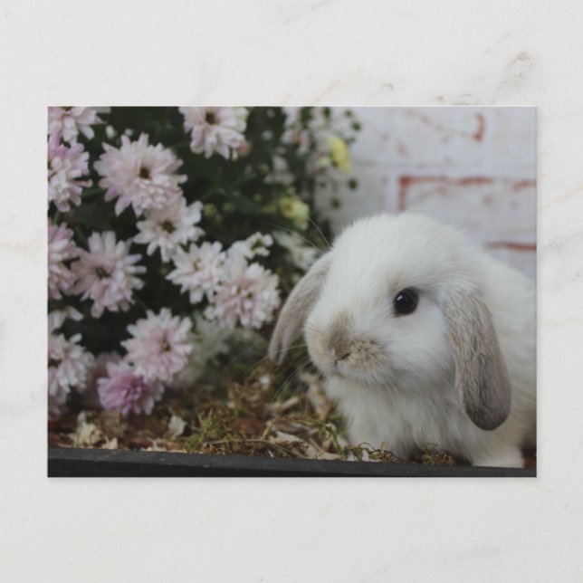 Weißes Häschen, Kaninchen mit Blumen Osterhase Postkarte (Vorderseite)