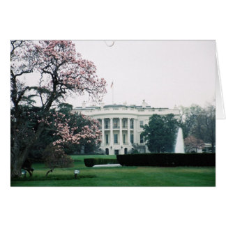 Weißes Haus mit Kirschblüten