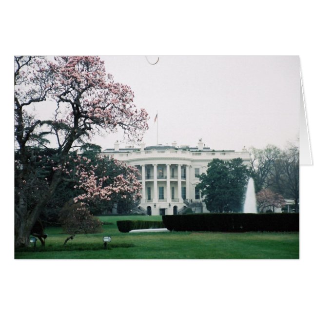 Weißes Haus mit Kirschblüten (Vorderseite (Horizontal))