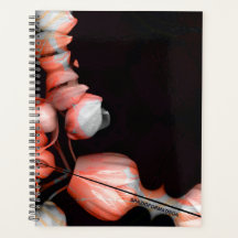 "Weißes Herz in Schwarz von der Sonne"