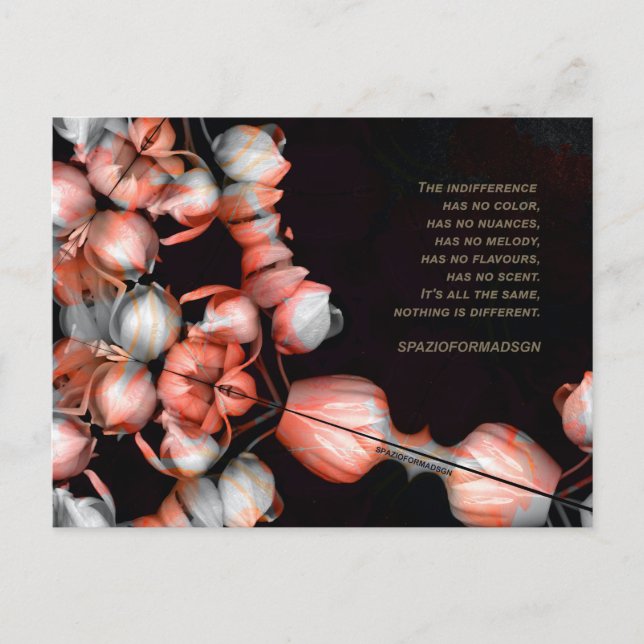 "Weißes Herz in schwarz von Sonne" & Indifferenz Postkarte (Vorderseite)