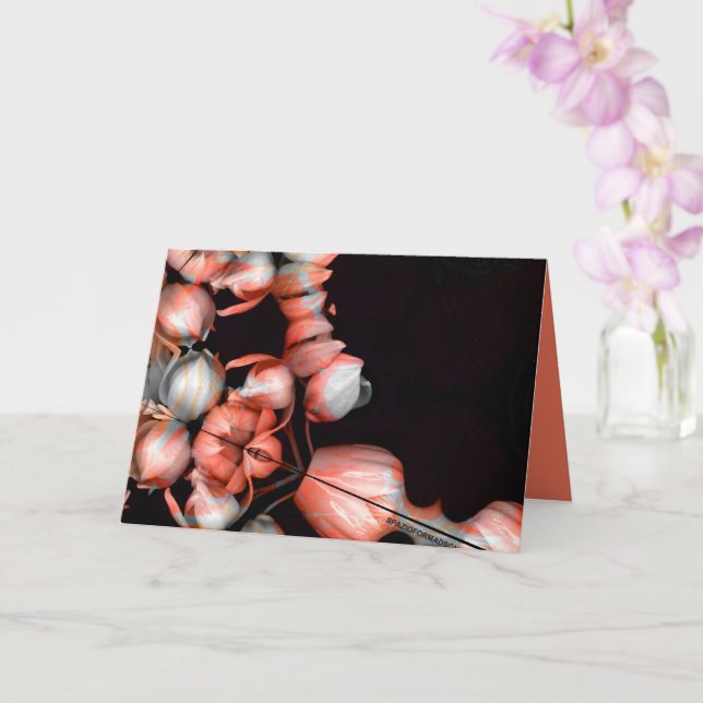 "Weißes Herz in schwarz von Sonne" & Stille Karte (Orchidee)