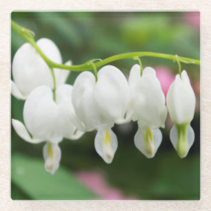 "Weißes Herz-" ursprüngliche Kunst durch KAS Glasuntersetzer