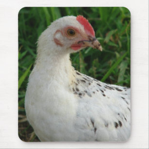 Weißes Huhn Mousepad
