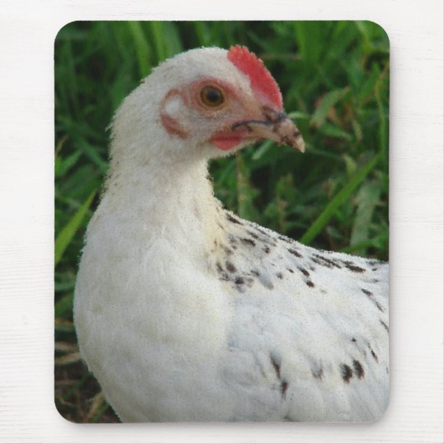 Weißes Huhn Mousepad (Vorne)