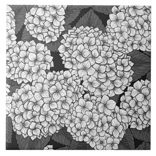 Weißes Hydrangea Fliese (Vorderseite)