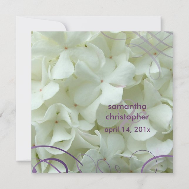 Weißes Hydrangea/romantische Hochzeitseinladungen Einladung (Vorderseite)