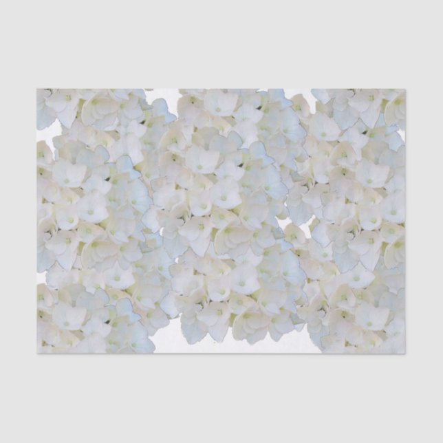 Weißes Hydrangeas-Tissue Seidenpapier (Vorderseite)