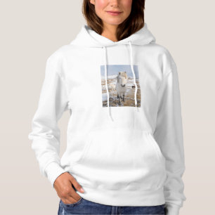 Weißes Isländisches Pferd, Island Hoodie