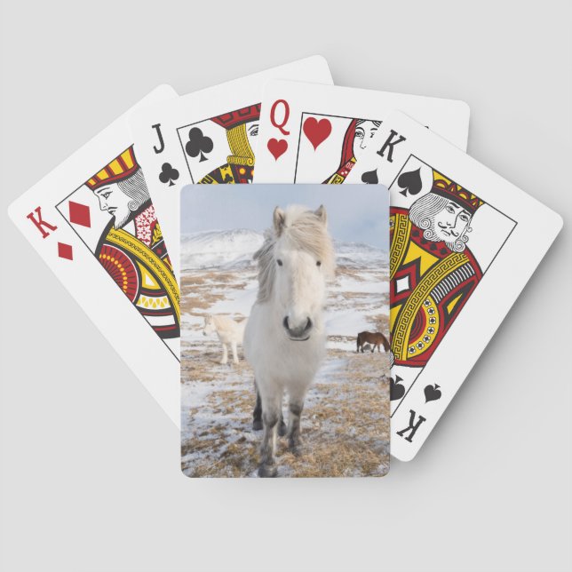 Weißes Isländisches Pferd, Island Spielkarten (Rückseite)