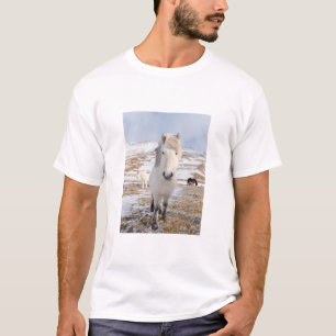 Weißes Islandpferd, Island T-Shirt