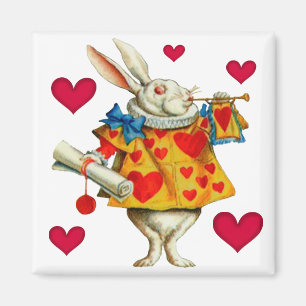 Weißes Kaninchen 1 Magnet