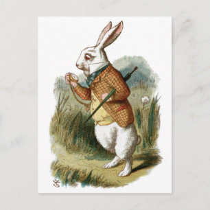 Weißes Kaninchen aus Alice im Wunderland Postkarte