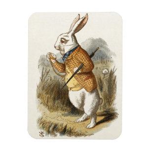 Weißes Kaninchen aus Alice im Wunderland Vintage A Magnet