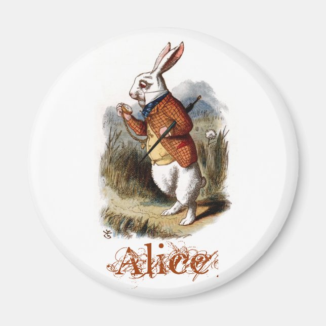 Weißes Kaninchen (Farbe) Magnet (Vorne)