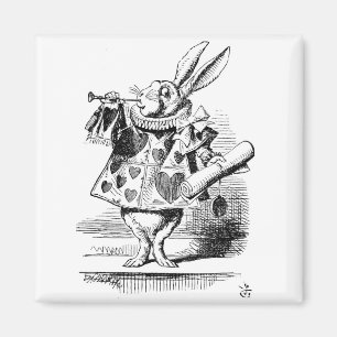 Weißes Kaninchen in Herald Magnet