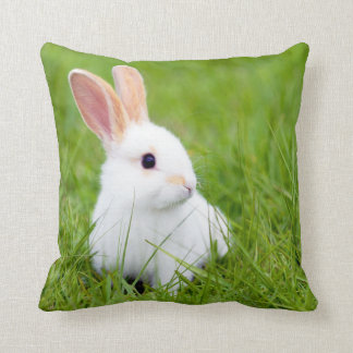 Weißes Kaninchen Kissen