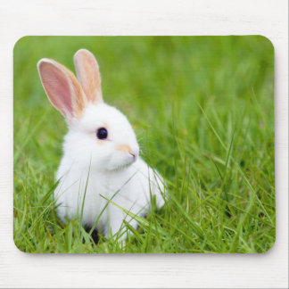 Weißes Kaninchen Mousepad