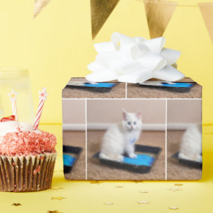 Weißes Kätzchen in blauer Farbe Geschenkpapier