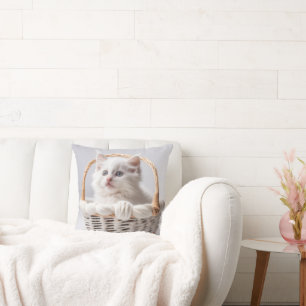Weißes Kätzchen in einem Korb Kissen