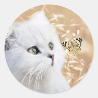 Weißes Kätzchen und Schmetterling Runder Aufkleber