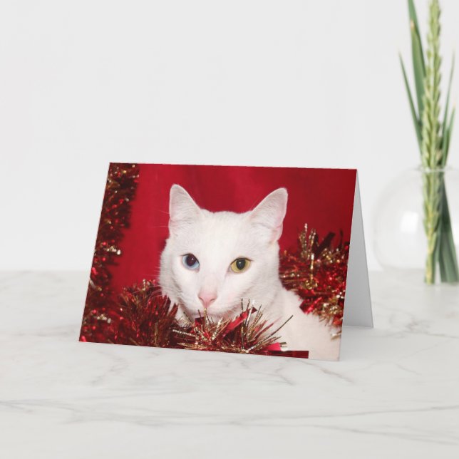 Weißes Katze Weihnachten (Vorderseite)