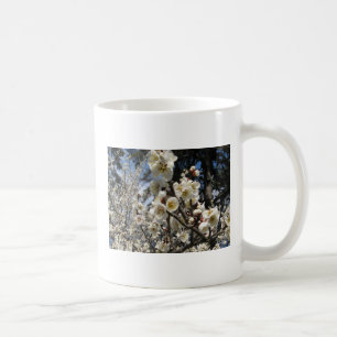 Weißes Kirschbär / Sakura / ラ(桜) Kaffeetasse