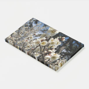 Weißes Kirschbär / Sakura / ラ(桜) Post-it Klebezettel