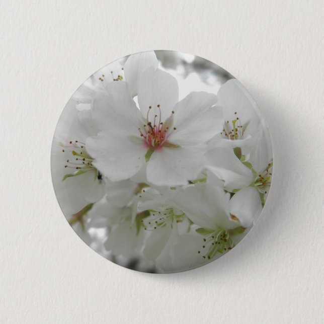 Weißes Kirschblüten-Foto Button (Vorderseite)
