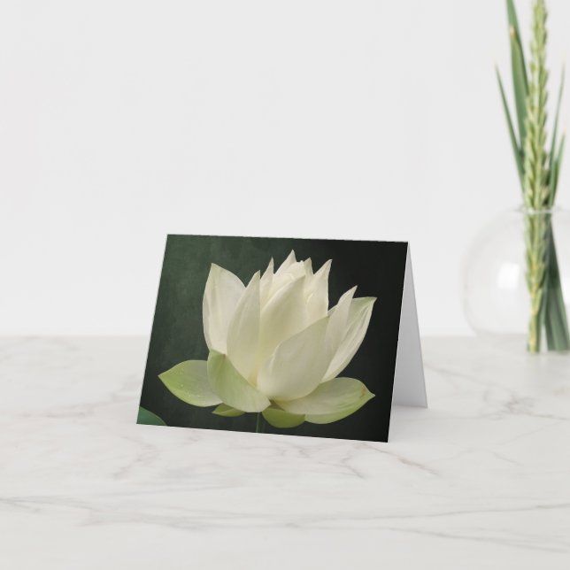 Weißes Lotus-Blüte BlumenNotecard Karte (Vorderseite)