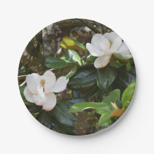 Weißes Magnolienpapier Pappteller