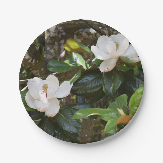 Weißes Magnolienpapier Pappteller (Vorderseite)
