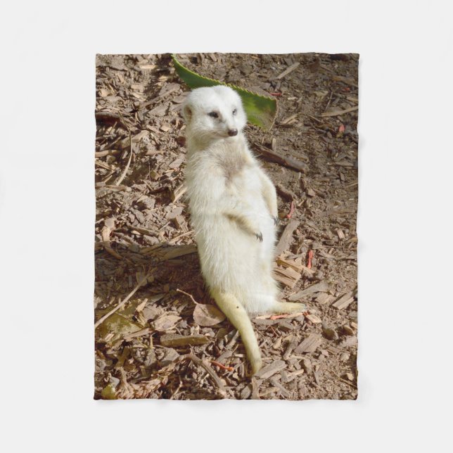 Weißes Meerkat, kleines Fleece-Blanket. Fleecedecke (Vorderseite)