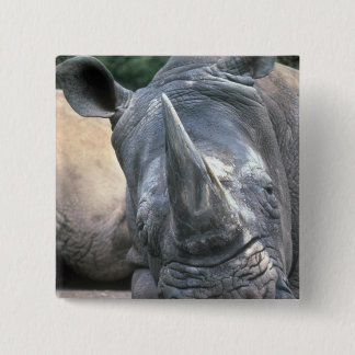 Weißes Nashorn Button