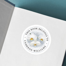 Weißes orchid-Phalaenopsis-Malbuch