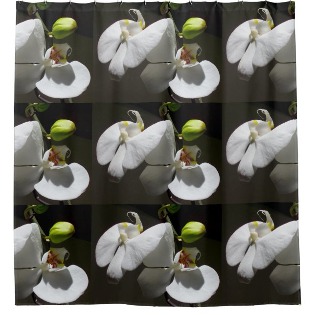 weißes orchides Foto, tropisches weißes blumengesc Duschvorhang (Vorderseite)