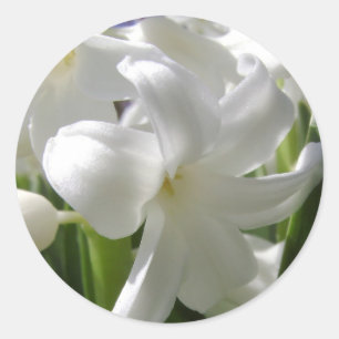 Weißes Ostern Lilly Runder Aufkleber