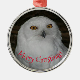 Weißes Owl-Foto Weihnachten Keramik Ornament