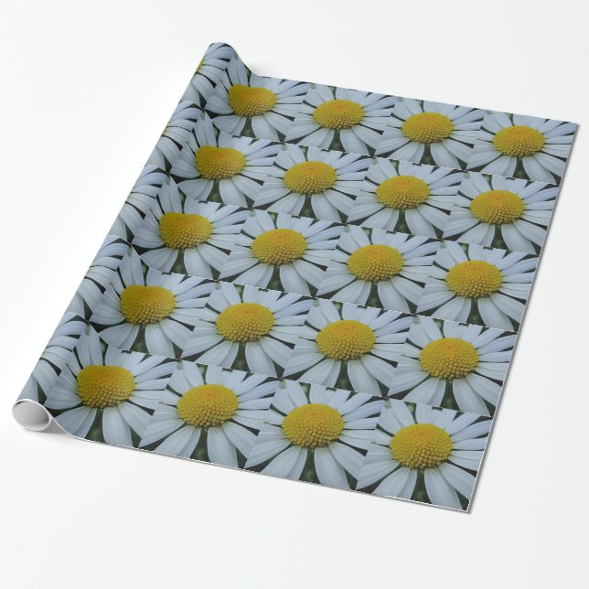 Weißes Papier Chrysanthemum Geschenkpapier (Ungerollt)