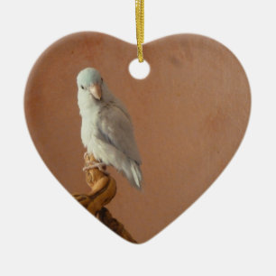 Weißes Parrotlet Keramik Ornament