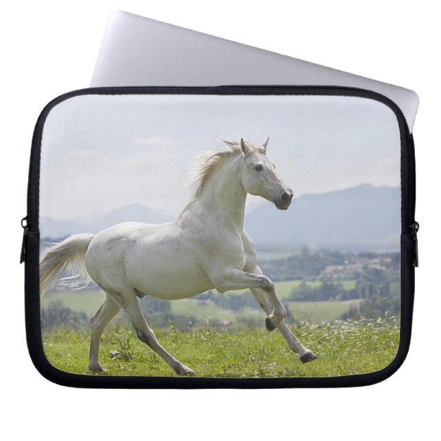 Weißes Pferd auf Wiese Laptopschutzhülle (Vorderseite)