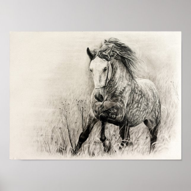 Weißes Pferd aus Holzkohle Poster (Vorne)