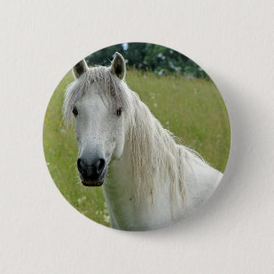 Weißes Pferd Button