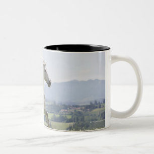 weißes Pferd, das auf Wiese läuft Zweifarbige Tasse