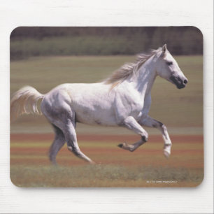 Weißes Pferd, das in Feld läuft Mousepad