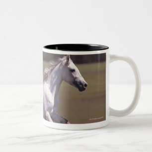 Weißes Pferd, das in Feld läuft Zweifarbige Tasse